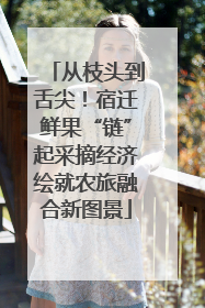 从枝头到舌尖！宿迁鲜果“链”起采摘经济绘就农旅融合新图景