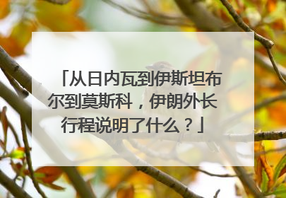从日内瓦到伊斯坦布尔到莫斯科，伊朗外长行程说明了什么？