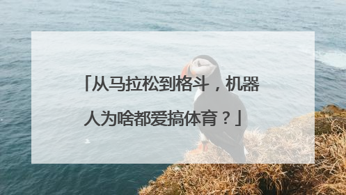 从马拉松到格斗，机器人为啥都爱搞体育？