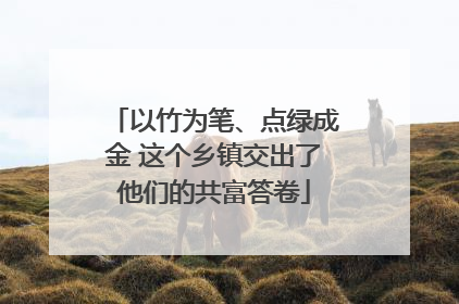 以竹为笔、点绿成金 这个乡镇交出了他们的共富答卷