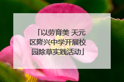 以劳育美 天元区隆兴中学开展校园除草实践活动