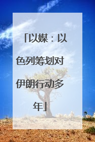 以媒：以色列筹划对伊朗行动多年
