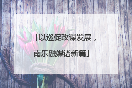 以巡促改谋发展，南乐融媒谱新篇