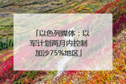 以色列媒体：以军计划两月内控制加沙75%地区