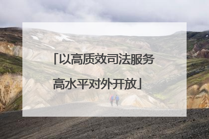 以高质效司法服务高水平对外开放