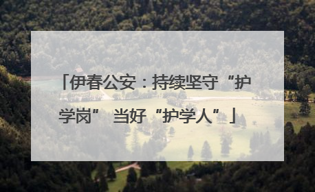 伊春公安：持续坚守“护学岗” 当好“护学人”