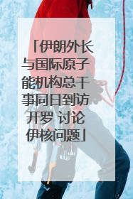 伊朗外长与国际原子能机构总干事同日到访开罗 讨论伊核问题