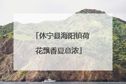 休宁县海阳镇荷花飘香夏意浓