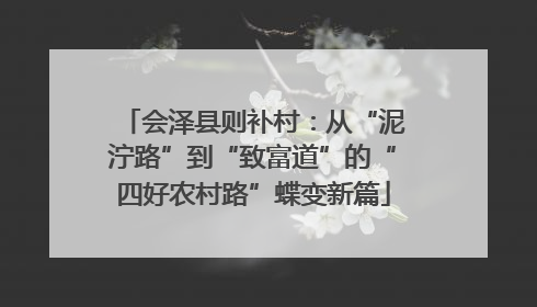 会泽县则补村：从“泥泞路”到“致富道”的“四好农村路”蝶变新篇