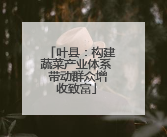 叶县：构建蔬菜产业体系 带动群众增收致富