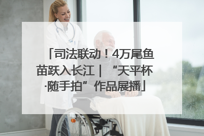 司法联动！4万尾鱼苗跃入长江｜“天平杯·随手拍”作品展播