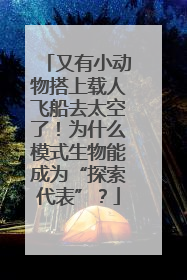 又有小动物搭上载人飞船去太空了！为什么模式生物能成为“探索代表”？