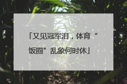 又见冠军泪,体育“饭圈”乱象何时休