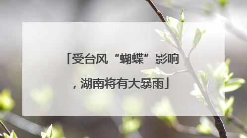 受台风“蝴蝶”影响，湖南将有大暴雨