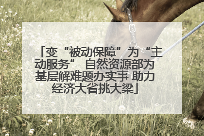 变“被动保障”为“主动服务” 自然资源部为基层解难题办实事 助力经济大省挑大梁