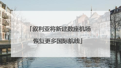 叙利亚将新建数座机场 恢复更多国际航线
