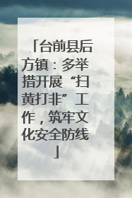 台前县后方镇:多举措开展“扫黄打非”工作,筑牢文化安全防线