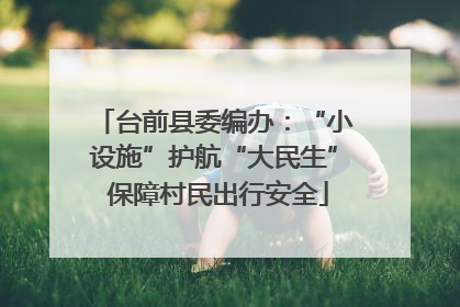 台前县委编办：“小设施”护航“大民生” 保障村民出行安全