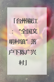 台州椒江：“全国文明村镇”落户下陈广兴村