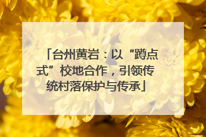 台州黄岩：以“蹲点式”校地合作，引领传统村落保护与传承