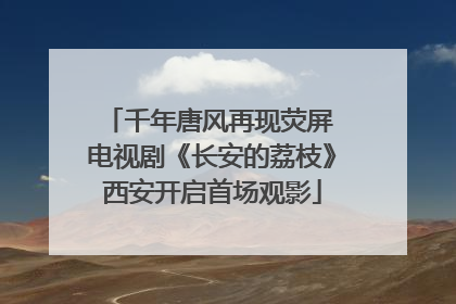 千年唐风再现荧屏 电视剧《长安的荔枝》西安开启首场观影