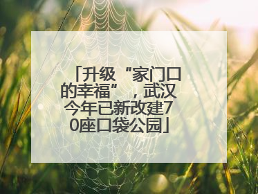 升级“家门口的幸福”，武汉今年已新改建70座口袋公园