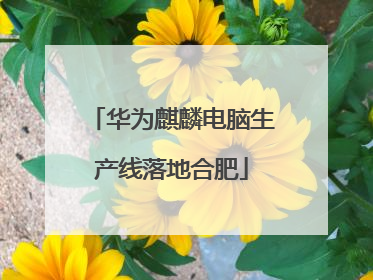 华为麒麟电脑生产线落地合肥