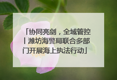 协同亮剑，全域管控丨潍坊海警局联合多部门开展海上执法行动