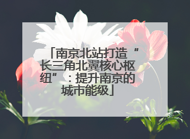 南京北站打造“长三角北翼核心枢纽”：提升南京的城市能级