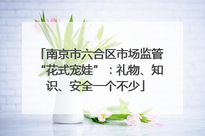 南京市六合区市场监管“花式宠娃”：礼物、知识、安全一个不少