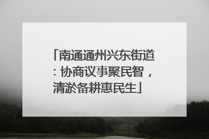 南通通州兴东街道：协商议事聚民智，清淤备耕惠民生