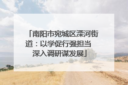 南阳市宛城区溧河街道：以学促行强担当 深入调研谋发展