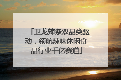 卫龙辣条双品类驱动，领航辣味休闲食品行业千亿赛道