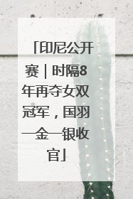 印尼公开赛｜时隔8年再夺女双冠军，国羽一金一银收官