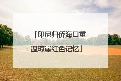 印尼归侨海口重温琼崖红色记忆