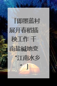 即墨蓝村展开春稻插秧工作 千亩盐碱地变“江南水乡”