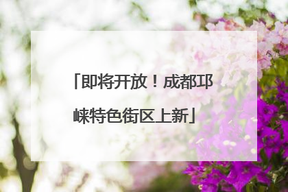 即将开放！成都邛崃特色街区上新