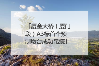 厦金大桥（厦门段）A3标首个预制墩台成功吊装