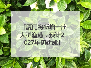 厦门将新增一座大型渔港，预计2027年初建成