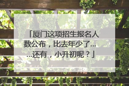 厦门这项招生报名人数公布，比去年少了……还有，小升初呢？