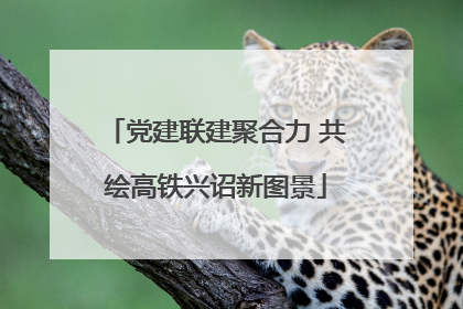 党建联建聚合力 共绘高铁兴诏新图景