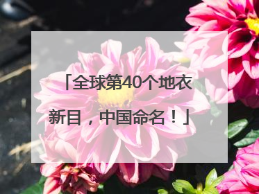 全球第40个地衣新目，中国命名！