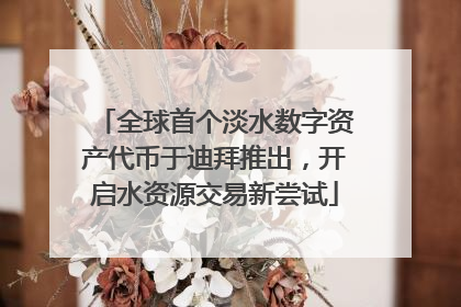 全球首个淡水数字资产代币于迪拜推出，开启水资源交易新尝试