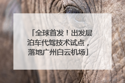 全球首发！出发层泊车代驾技术试点，落地广州白云机场