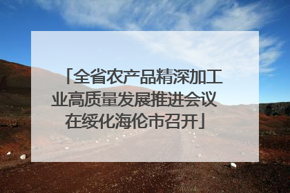 全省农产品精深加工业高质量发展推进会议在绥化海伦市召开