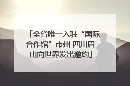 全省唯一入驻“国际合作馆”市州 四川眉山向世界发出邀约
