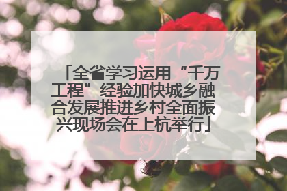 全省学习运用“千万工程”经验加快城乡融合发展推进乡村全面振兴现场会在上杭举行