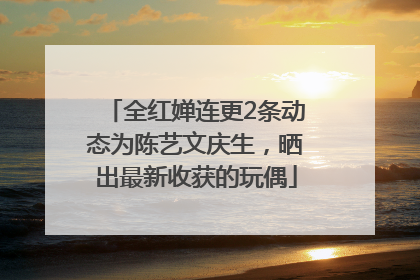 全红婵连更2条动态为陈艺文庆生，晒出最新收获的玩偶