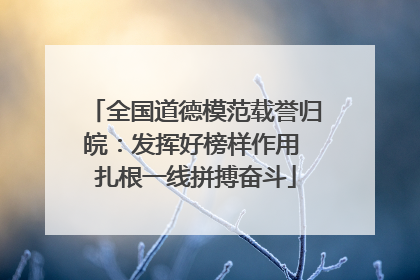 全国道德模范载誉归皖：发挥好榜样作用 扎根一线拼搏奋斗
