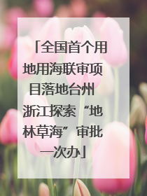 全国首个用地用海联审项目落地台州 浙江探索“地林草海”审批一次办